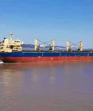 船東表示“令人驚嘆”的干散貨市場還將繼續(xù)